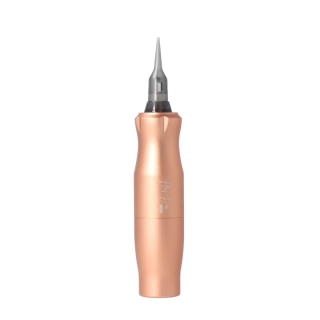 Fleiš pen MINI